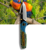 Koi "Lily" | The Lorikeet