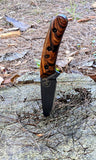 TTK Small Hunting Knife Wood TTKAUSDIWOOD - D2, survival - Granbergs Firearms